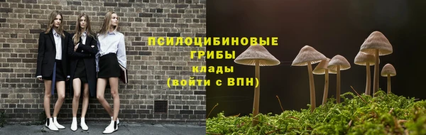 сатива Михайлов