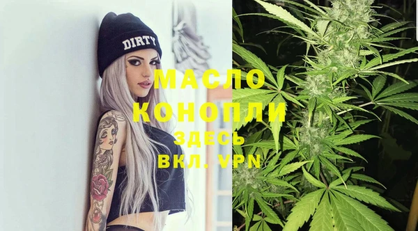 сатива Михайлов