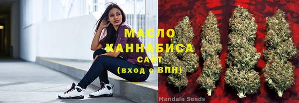 сатива Михайлов