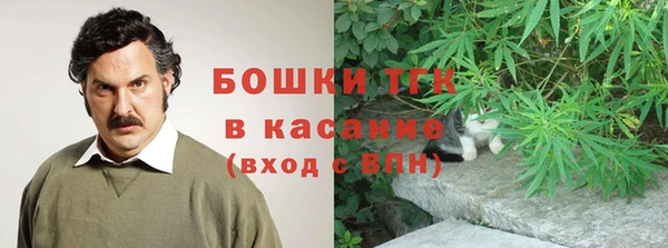 стаф Михайловск