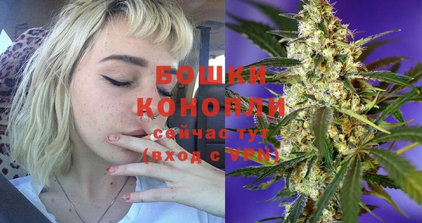 стаф Михайловск