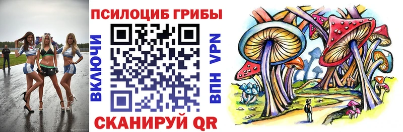 Галлюциногенные грибы Cubensis  Купить закладки  Узловая 