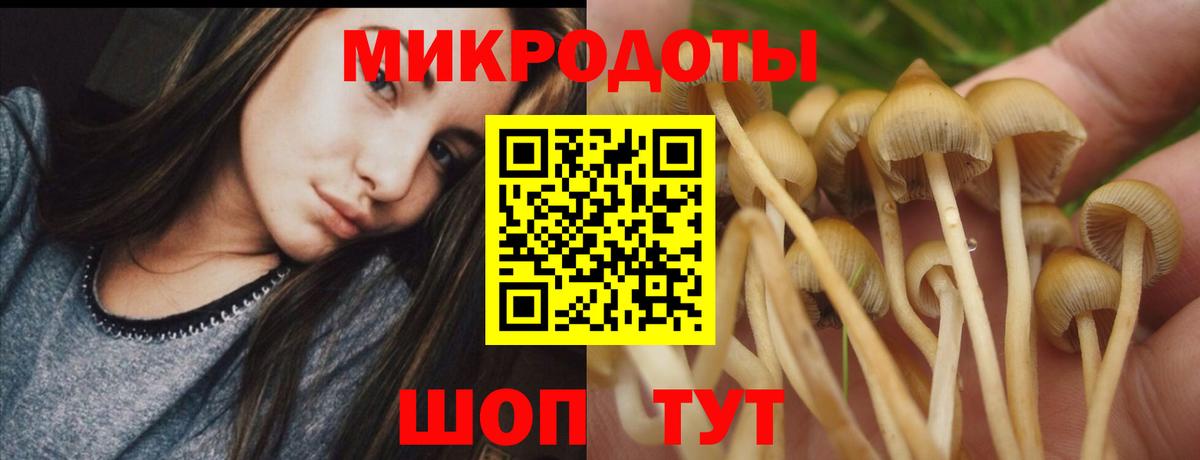ГАШ  Конопля  Меф МЯУ МЯУ   Узловая  КОКАИН  Вход с VPN  Гашиш 